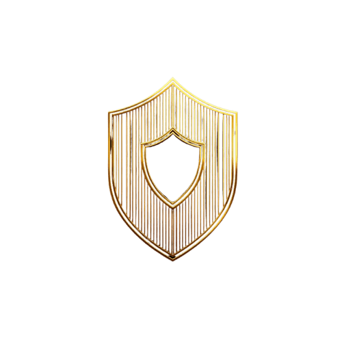 Icone Cybersecurite Protection Donnees Securium