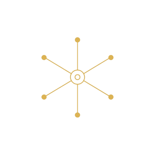 Accueil Securium Icon Support